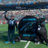 dmcland72's profile picture. 2024 Panthers Fan of the Year: https://t.co/IjUw7W3c9W Check me out on the TNF intro video: https://t.co/yWSXALoqBU