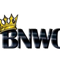 ♠️👑 BLACK REIGNS SUPREME👑♠️ (@bnwomystro) Twitter profile photo