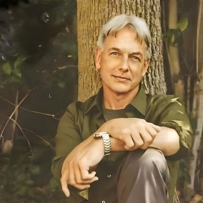 American actor, writer, producer, and television director, best known for his role as Special Agent Leroy Jethro Gibbs in the TV series NCIS.