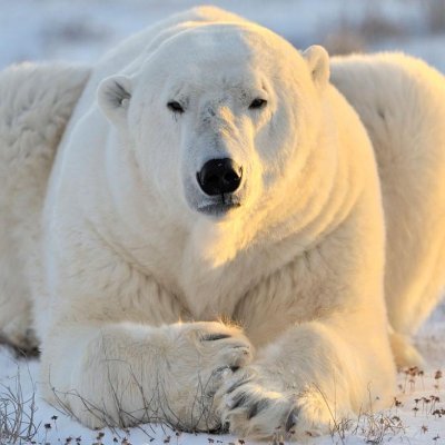 Nixon199302's profile picture. 