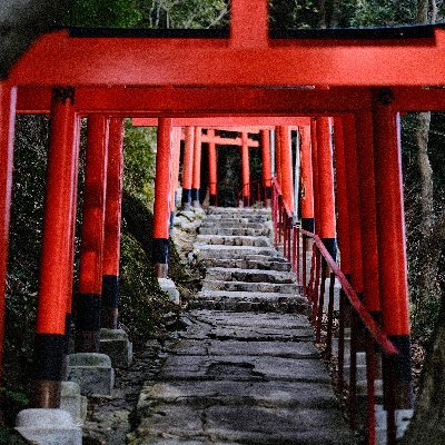 jormungand14's profile picture. 