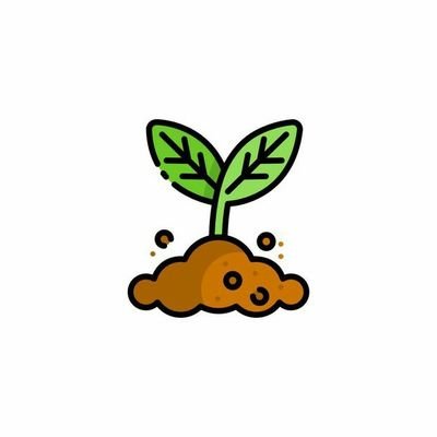 Candrabuhori's profile picture. Kolektor Insight 🌱
