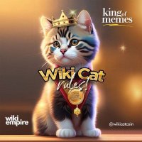 King.Fi💎$CLONE (@kingswitch69) 's Twitter Profile