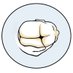 SCI (@screencsinfants) Twitter profile photo SCI (@screencsinfants) Twitter profile photo