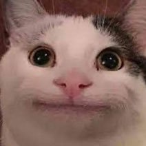 hinasaung's profile picture. ☀️