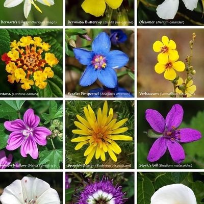 Xgreymann's profile picture. Live and let live