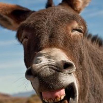 crackersayWUT's profile picture. Full moons deserve more than half assed effort.