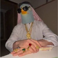 Kabootar (@justice_030) 's Twitter Profile