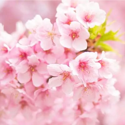 自分の幸せな人生は自分が決める!内側の思いが先😊彼に大切に愛されてる私♪私なしでは生きれない彼を内側で育成実験♡そう思えない時こそ、決める!からそうなる👍不足、モヤモヤ、不快はぜーんぶエゴ✨️