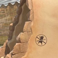 こぉーや (@k_x_y_c) 's Twitter Profile