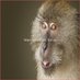 Ramon Emilio Mora (@ramonemili71749) Twitter profile photo Ramon Emilio Mora (@ramonemili71749) Twitter profile photo