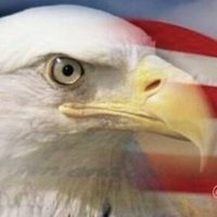 TALON061🇺🇲🇮🇱 (@talon0610) 's Twitter Profile
