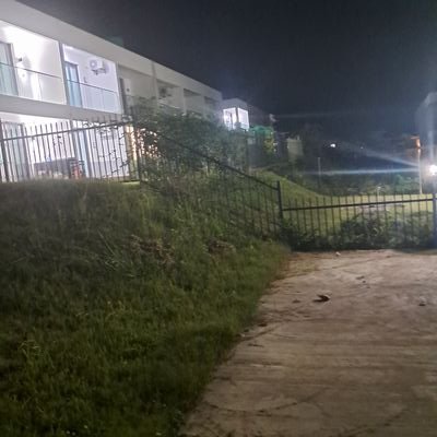 PatrickPetius's profile picture. C'est la vie