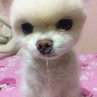 룩 (@dnsahdrkwk) 's Twitter Profile Photo 룩 (@dnsahdrkwk) 's Twitter Profile Photo