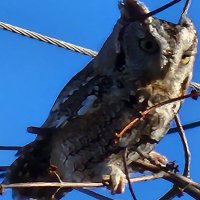lee (@randy58936) 's Twitter Profile