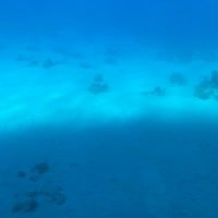 Selena Davis (@selenadavi49737) 's Twitter Profile