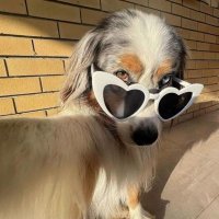 Vxitmcia__ (@manifestingbx) 's Twitter Profile Photo Vxitmcia__ (@manifestingbx) 's Twitter Profile Photo