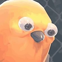 toplinさんのプロフィール画像