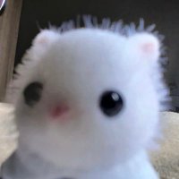 ๋ (@knowillfindyou) 's Twitter Profile Photo ๋ (@knowillfindyou) 's Twitter Profile Photo