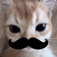 Six (@6c8hn) 's Twitter Profile Photo Six (@6c8hn) 's Twitter Profile Photo