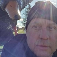 York! (@jdyork) 's Twitter Profile