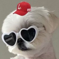 짱♡i (@1aanyy) 's Twitter Profile