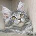 Anthea. (@anthea097473992) Twitter profile photo Anthea. (@anthea097473992) Twitter profile photo