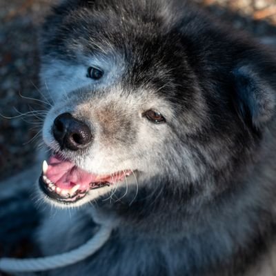 ほぼ趣味垢…無言フォロー失礼します。🙇
複数界隈フォローもいいねもRTもします。
快く思われない方はごめんなさいで大丈夫です👌
Adoさん、ずとまよ、BUMP、米津さん他…
仲良くしてくれると喜びます😆
ヘッダーは海月さん @Qrg_929_ado