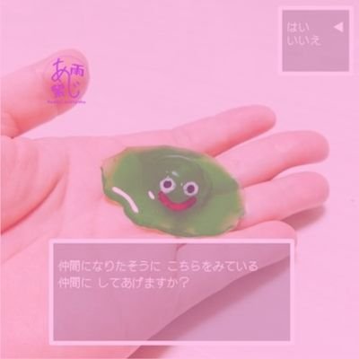 雨紫@諸々奮闘中さんのプロフィール画像
