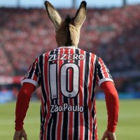 Postagens Burras sobre o São Paulo FC (@spfcburrices) 's Twitter Profile Photo Postagens Burras sobre o São Paulo FC (@spfcburrices) 's Twitter Profile Photo