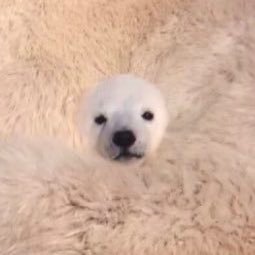 Ishinoue3_'s profile picture. 