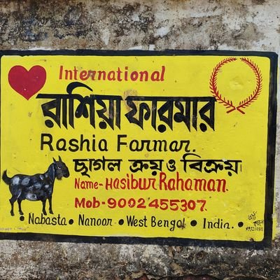 Hasibur03955406's profile picture. International