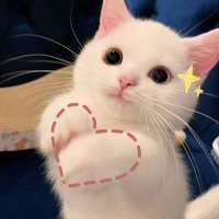 กก.💜✨ (@doublek_k43) 's Twitter Profile