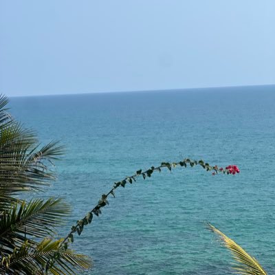 hm894387's profile picture. 