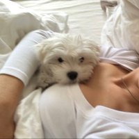 Sarah (@sandrasangester) 's Twitter Profile