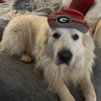 Scott Green (@wsgreenjr) 's Twitter Profile