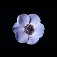 Blunderz (@blunderz9) Twitter profile photo
