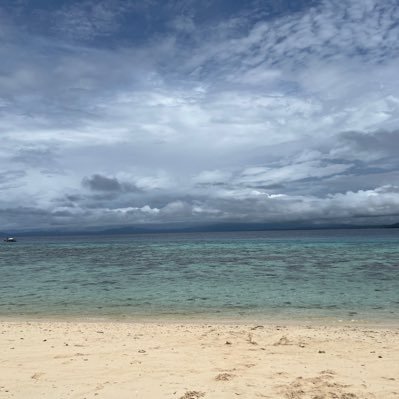 janusranilm's profile picture. 