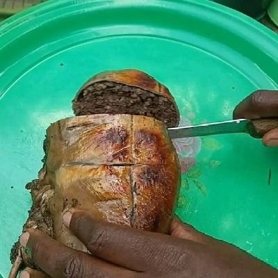 76f086f2af5d41c's profile picture. a farmer, a father figure, Husband