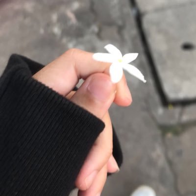 เเถ่นเเทนน_(Tan)🌿⭐️さんのプロフィール画像