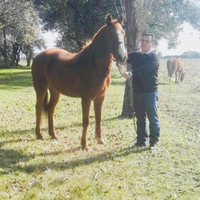Facundo Romero (@romero65facundo) 's Twitter Profile