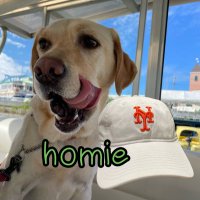 ほみわん(Miho_nY)🐶🦘♡ (@mi_homie_ny) 's Twitter Profile Photo ほみわん(Miho_nY)🐶🦘♡ (@mi_homie_ny) 's Twitter Profile Photo