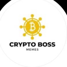 CryptoB6613's profile picture. 