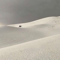 Re (@relili7_) Twitter profile photo