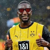 Luca 🦦 (@l89_bvb) 's Twitter Profile