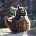 🐻 (@mexicanpeachesx) Twitter profile photo 🐻 (@mexicanpeachesx) Twitter profile photo