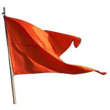 mspy0's profile picture. जय जगन्नाथ