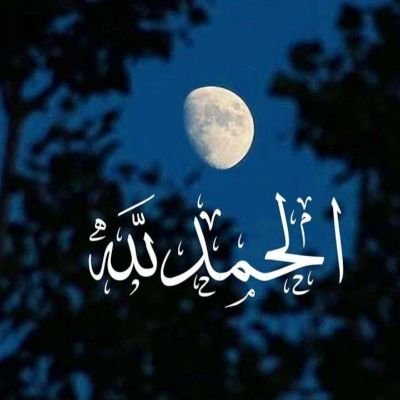 YassineAdh90241's profile picture. 