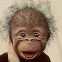 MAGA CHANGO🇺🇸✝️🙏🏽 (@rhm8txrs5x) 's Twitter Profile Photo MAGA CHANGO🇺🇸✝️🙏🏽 (@rhm8txrs5x) 's Twitter Profile Photo