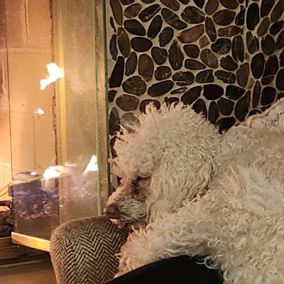 vincebrandys23's profile picture. Just a guy